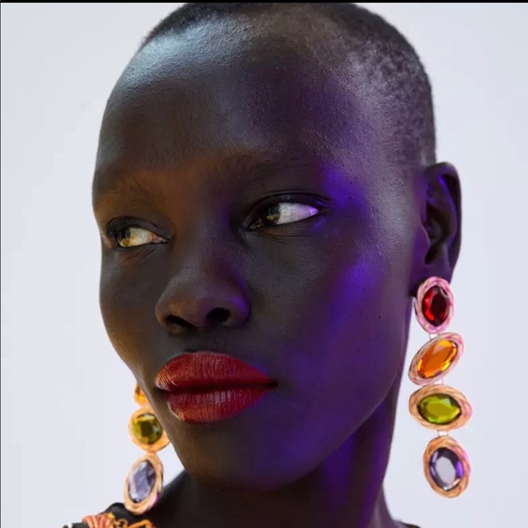 Zara Jewelry - Zara multicolor earrings